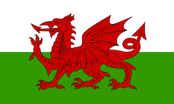 Welsh Flag