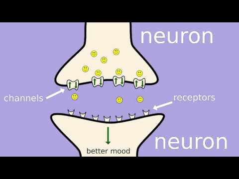 How does Prozac (fluoxetine) work?