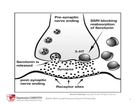 Mini-Lecture: Use of SSRI's in Depression