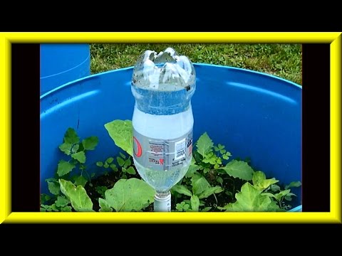 Soda Bottle Watering System For Growing Plants In Containers