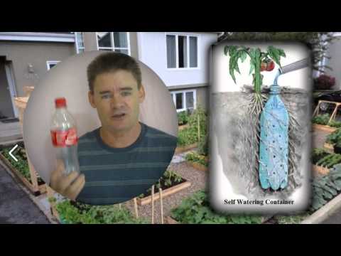 Underground Self Watering Recycled Bottle System