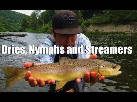 W4F - Fly Fishing "Dries, Nymphs and Streamers" West Branch Delaware River