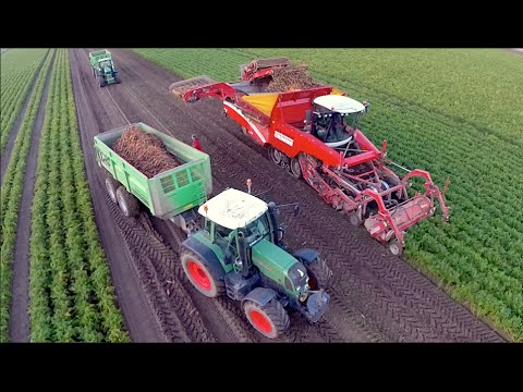 Potato / Carrot and Celeriac harvest / Oogst 2014 - Vrolijk Landbouw | Grimme Tectron 415