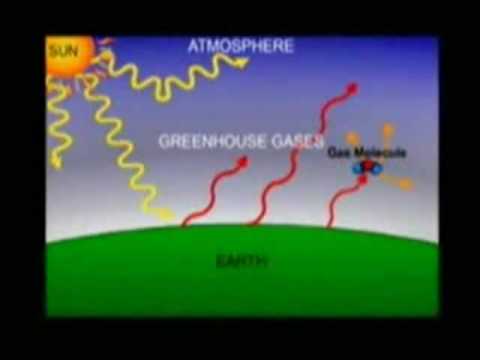 The Greenhouse Effect