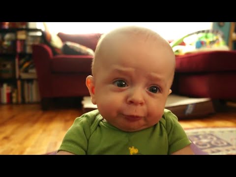 Top 10 Funny Baby Videos 2015