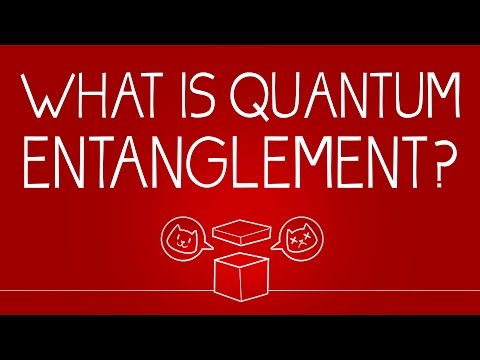 What can Schrödinger's cat teach us about quantum mechanics? - Josh Samani