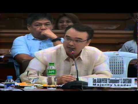 Blue Ribbon Committee Hearing (August 26, 2014)