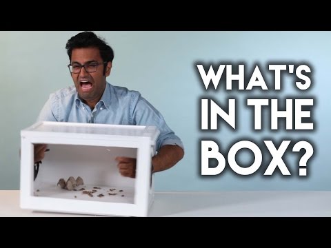 What's In The Box?