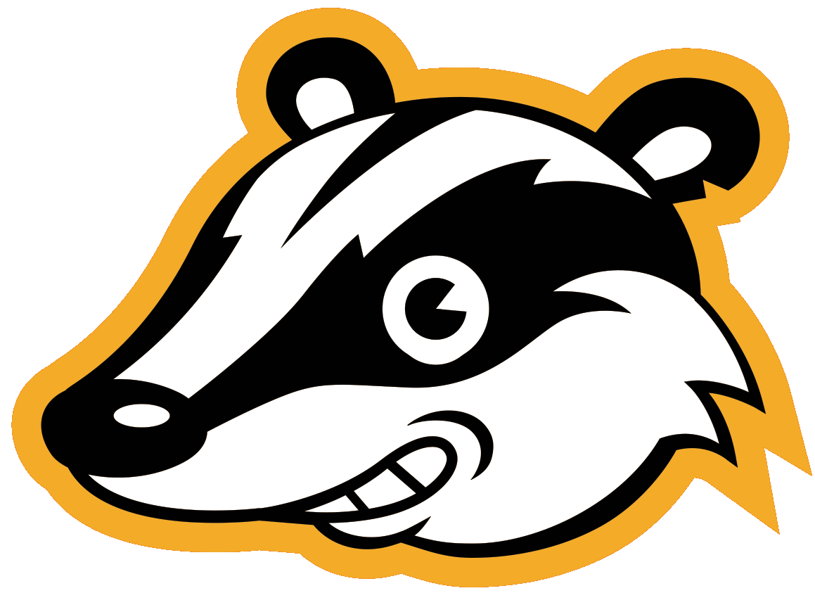 Privacy Badger