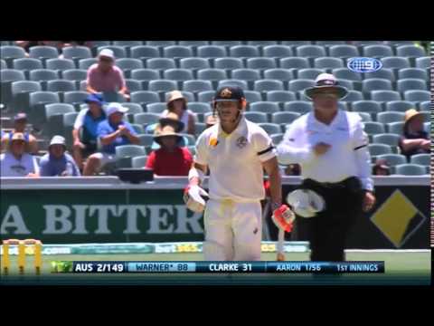 David Warner 145 Off 163 1st Test