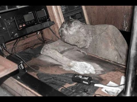 Ghost yacht horror mummified body of adventurer sitting at desk of vessel drifting at sea for years