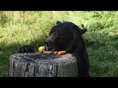 Stiftung der Sparkasse Bielefeld - Mein erster Tag im Tierpark Olderdissen