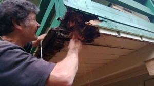 Photo by Marc Cole of brother Brent working on a family home