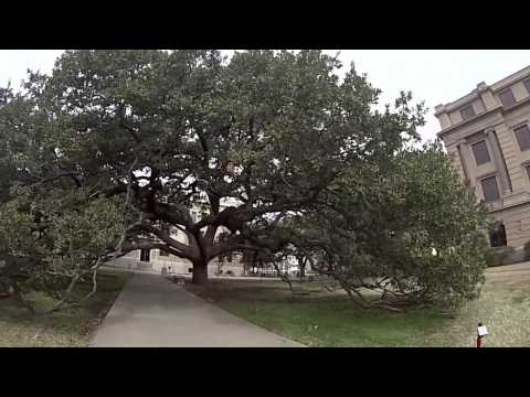 A Day in the Life - Texas A&M University