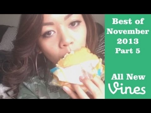 Best Vines of November 2013 - Compilation Part 5 (98 Total)