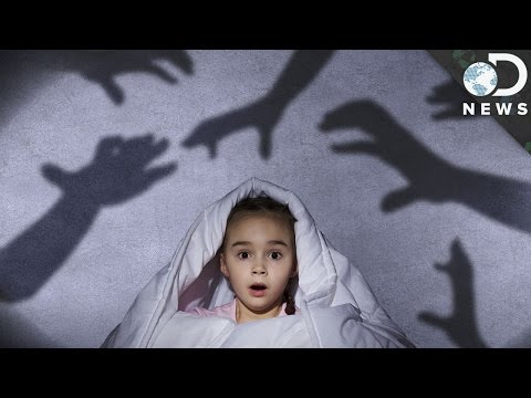 Why Do We Get Nightmares?