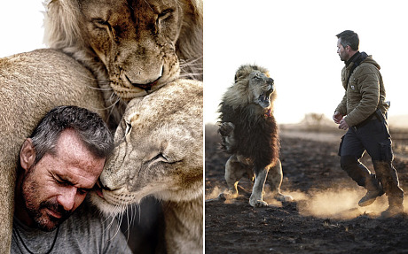 Two photos taken from a new series of photos shot with world-renowned 'Lion Whisperer' Kevin Richardson. Kevin teamed up with wildlife photographer Adrian Steirn to shoot the perfect billboard shot - depicting the plight of Africa's lions and their future. 