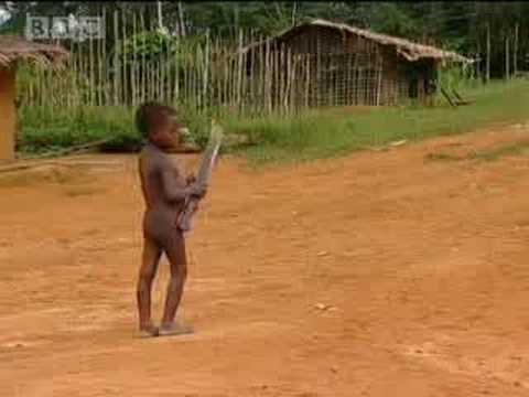 Hunter gatherers - Tribe - BBC