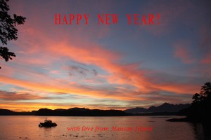 Happy New Year 2016_2