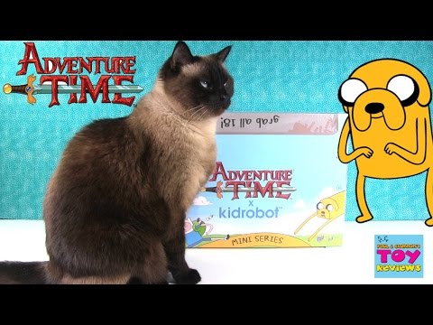 Adventure Time Figures Full Blind Box Opening | Kidrobot Toy Review | PSToyReviews