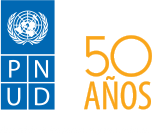 UNDP logo