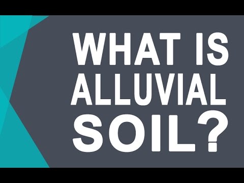 Alluvial Soil - Soils of India