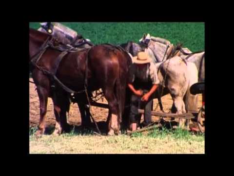 Pennsylvania Dutch Documentary