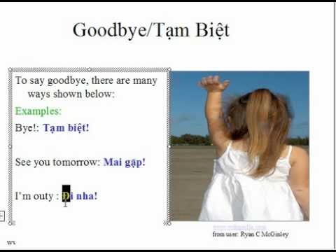 Learn Vietnamese Lesson 1: Hello Goodbye (How to speak Vietnamese language)