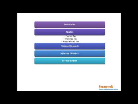 Annual Report Analysis Example, Financial Statement Analysis