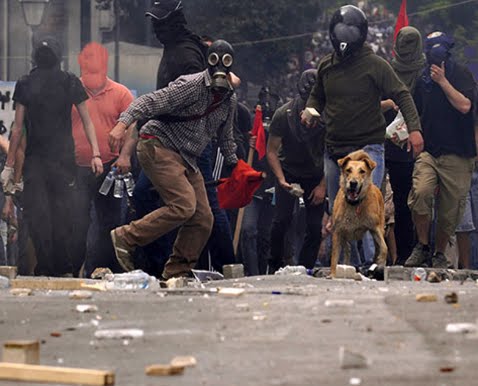 Chien grec dans une manifestation