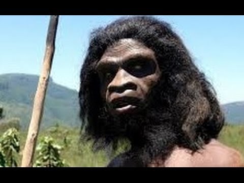 Ape To Man: Evolution Documentary History Channel