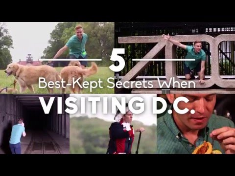 The 5 Best-Kept Secret Spots to Visit in Washington DC