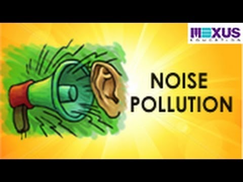 Noise Pollution