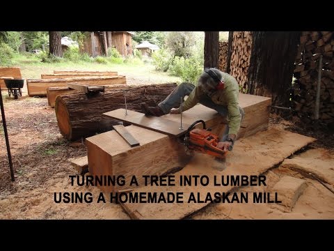 Turning a tree into lumber using a homemade Alaskan Mill