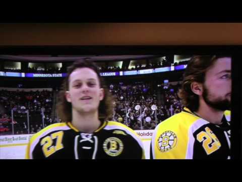 2016 Minnesota State High School All Hockey Hair Team