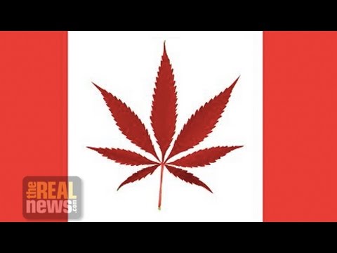 Challenges Ahead for the Legalization of Marijuana in Canada