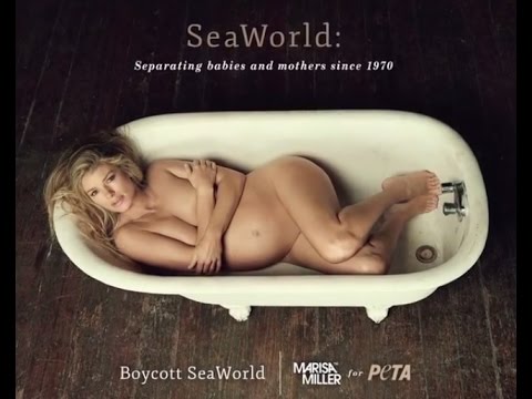 Surfer, Supermodel, Pregnant Mom—Marisa Miller Goes After SeaWorld