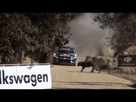 2016 Rally Mexico – Ogier's epic save