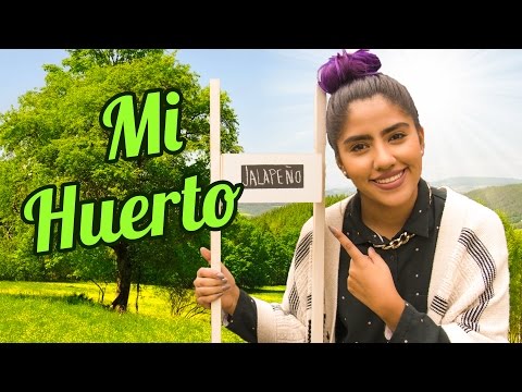 HAZ TÚ PROPIO HUERTO! | MUSAS KAREN LOS POLINESIOS