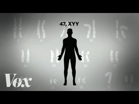 The myth of the "supermale" and the extra Y chromosome