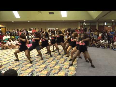 Theta Tau Chapter of Delta Sigma Theta - Valdosta State University Yardshow 2013