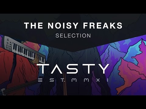 The Noisy Freaks - Selection [Tasty Release]