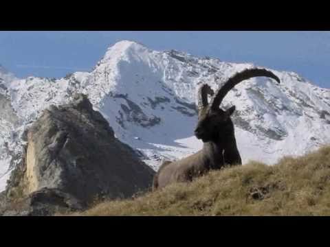 Gran Paradiso National Park - Italy