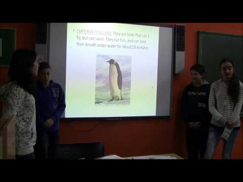 GROUP1-POLAR CLIMATE 1ºD