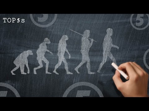 5 Theories On The Creation Of Humans