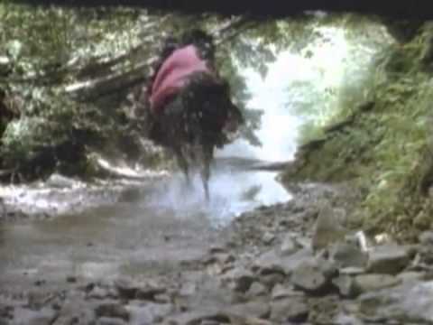 Ewoks: The Battle For Endor Trailer 1985