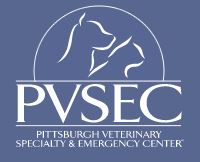 PVSEC Logo with background