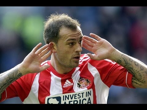 Steven Fletcher Goals - Sunderland - 12/13