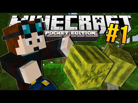 Minecraft Pocket Edition | MELON JUNGLE!! | #1