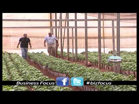 Business Focus: 2013 Ep#1  Drip Irrigation